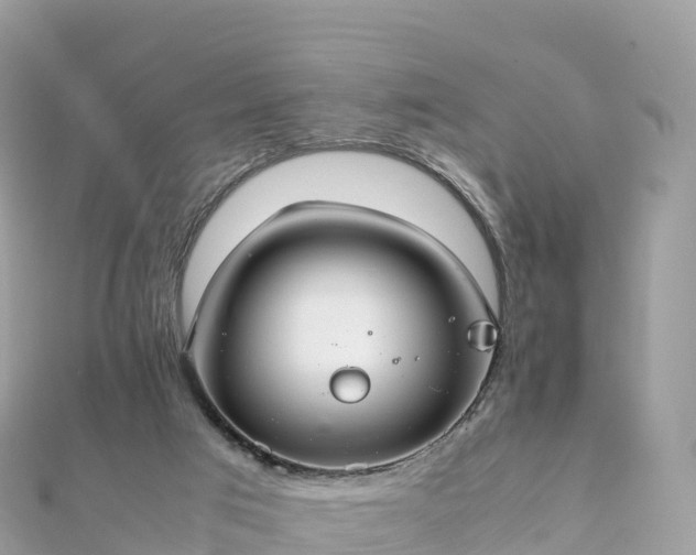 X0000111860017200907301141