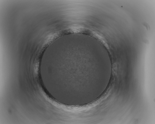 X0000111860018200907301141