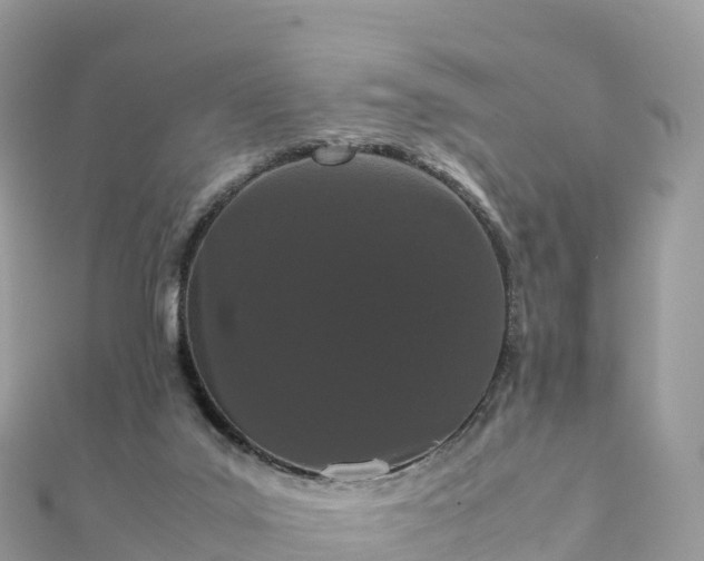 X0000111860019200907301141