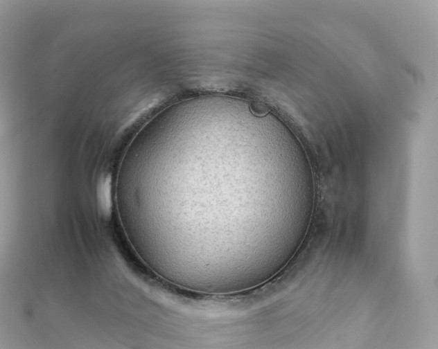 X0000111860020200907301141