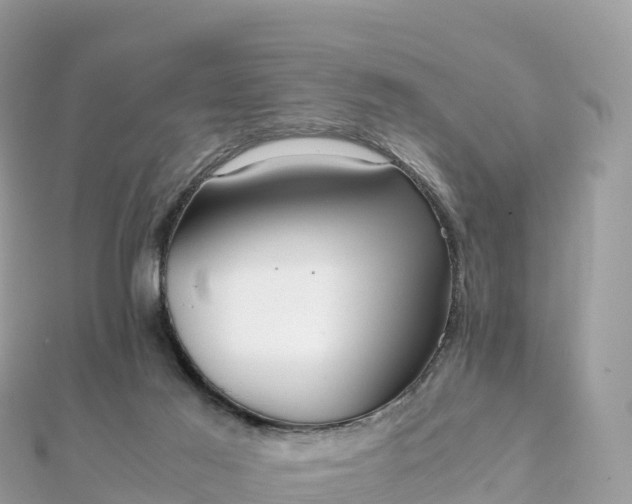 X0000111860021200907301141