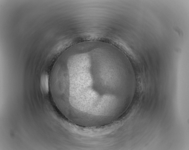 X0000111860022200907301141