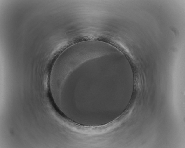 X0000111860023200907301141