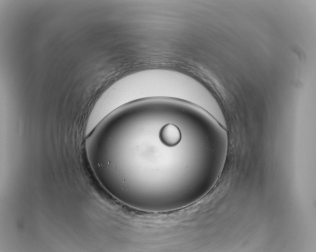 X0000111860025200907301141