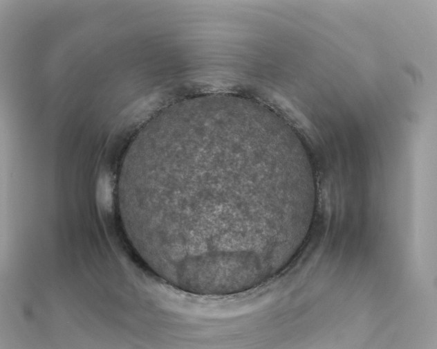 X0000111860026200907301141