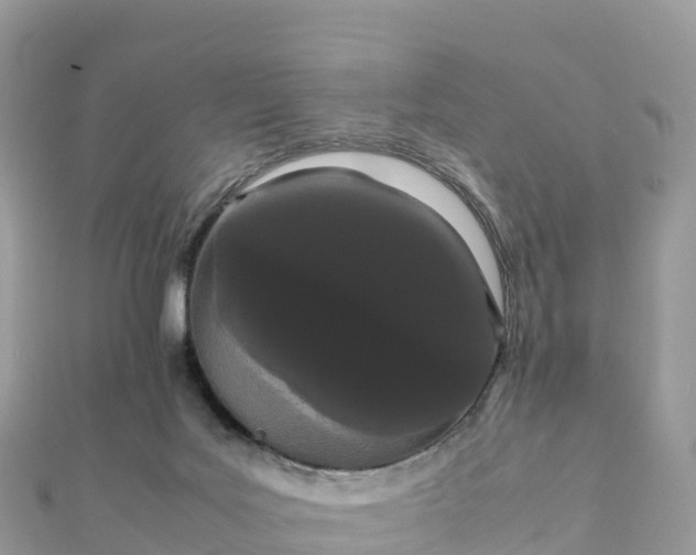 X0000111860027200907301141