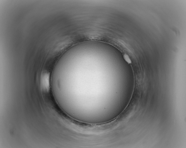 X0000111860028200907301141