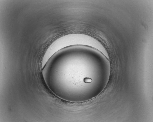 X0000111860029200907301141