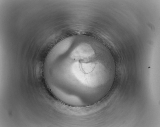 X0000111860030200907301141