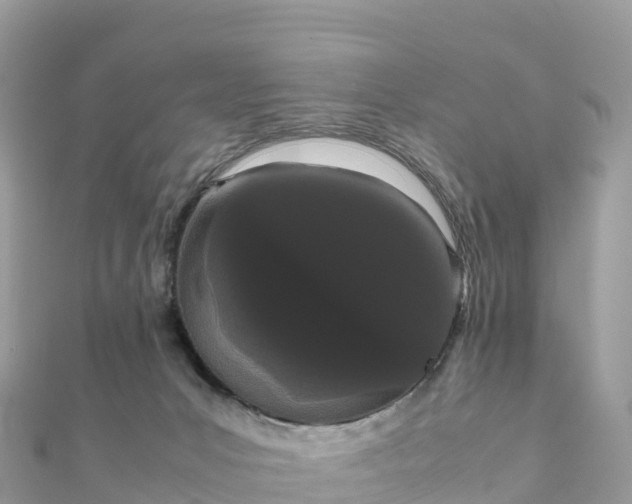 X0000111860031200907301141