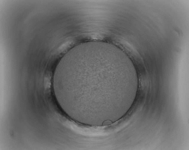 X0000111860032200907301141