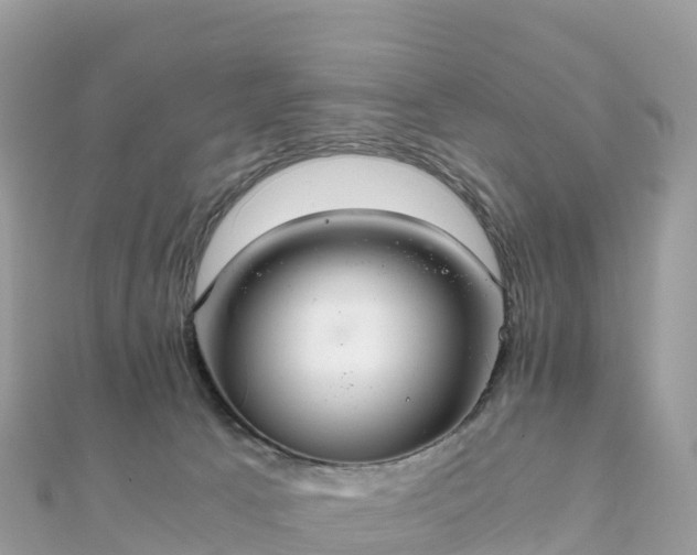 X0000111860033200907301141