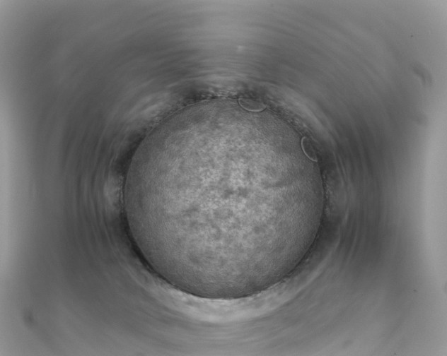 X0000111860034200907301141