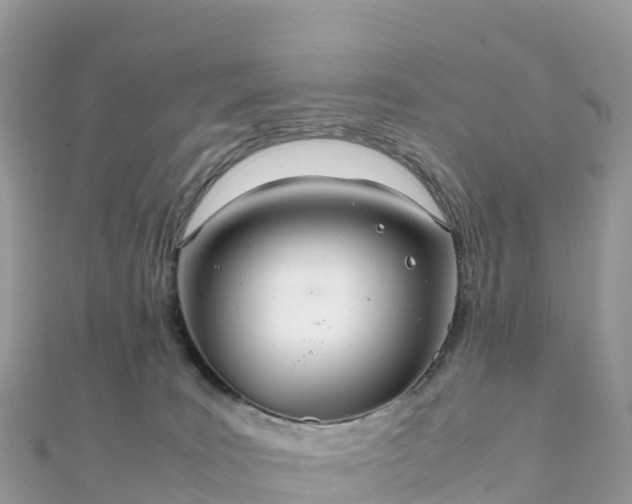 X0000111860035200907301141