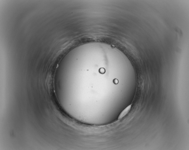 X0000111860036200907301141