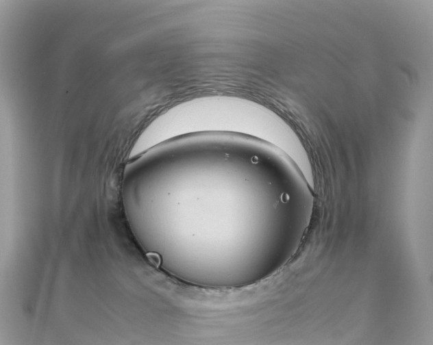 X0000111860037200907301141