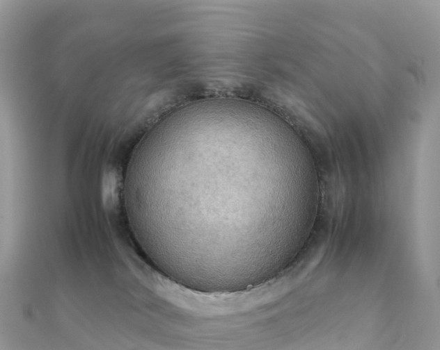 X0000111860038200907301141