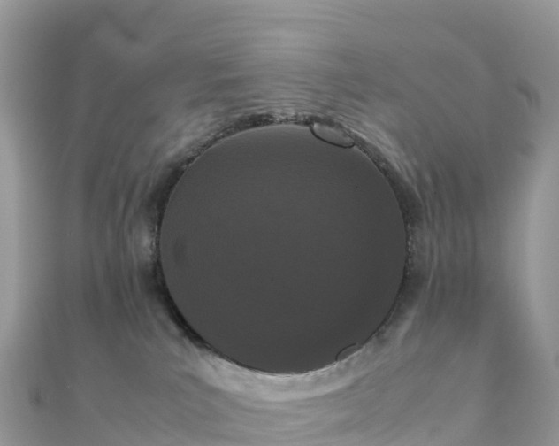 X0000111860039200907301141