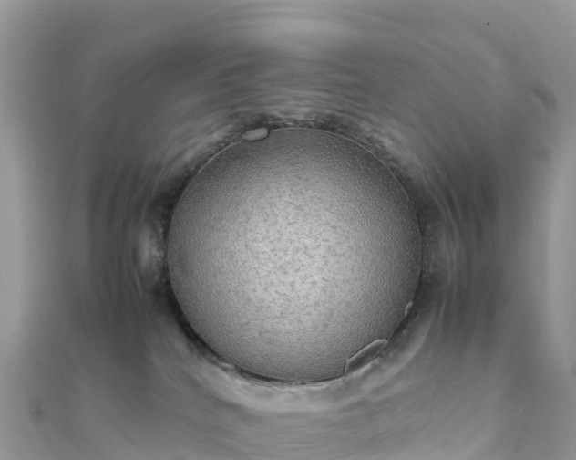 X0000111860040200907301141