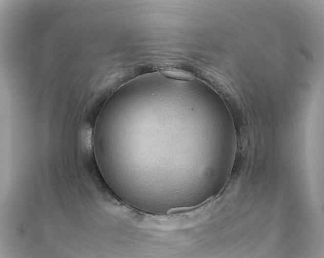 X0000111860041200907301141