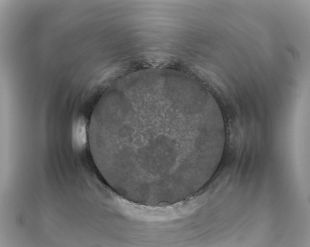 X0000111860042200907301141