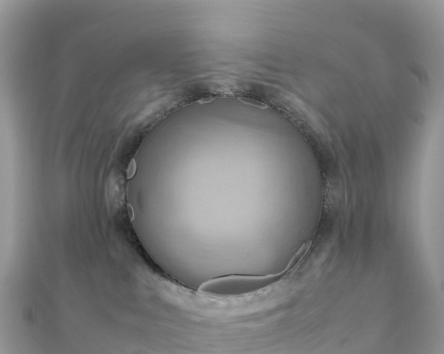 X0000111860043200907301141