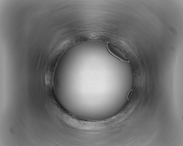 X0000111860044200907301141