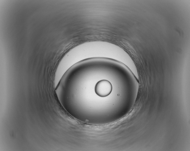 X0000111860045200907301141