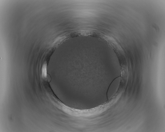 X0000111860046200907301141