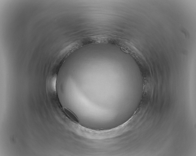 X0000111860047200907301141