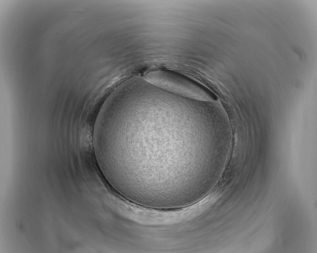 X0000111860048200907301141