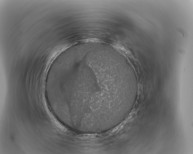 X0000111860049200907301140