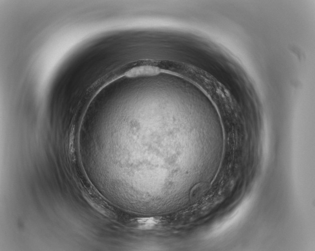 X0000111860050200907301140