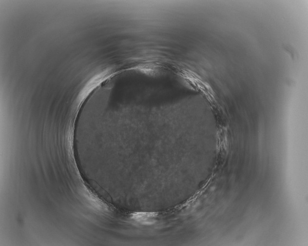 X0000111860051200907301140