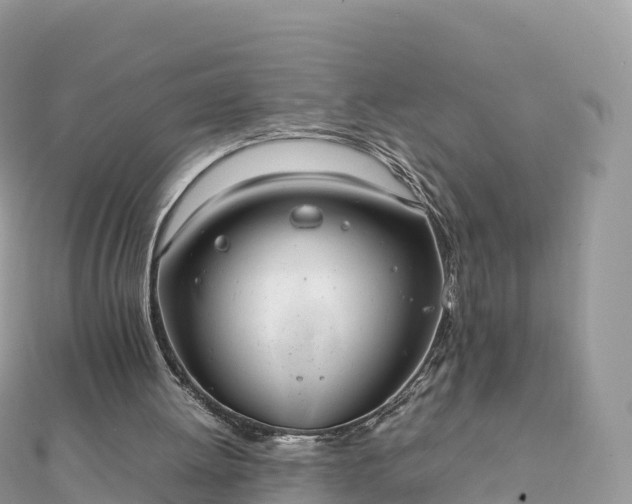 X0000111860052200907301140