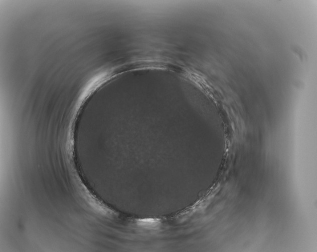 X0000111860053200907301140