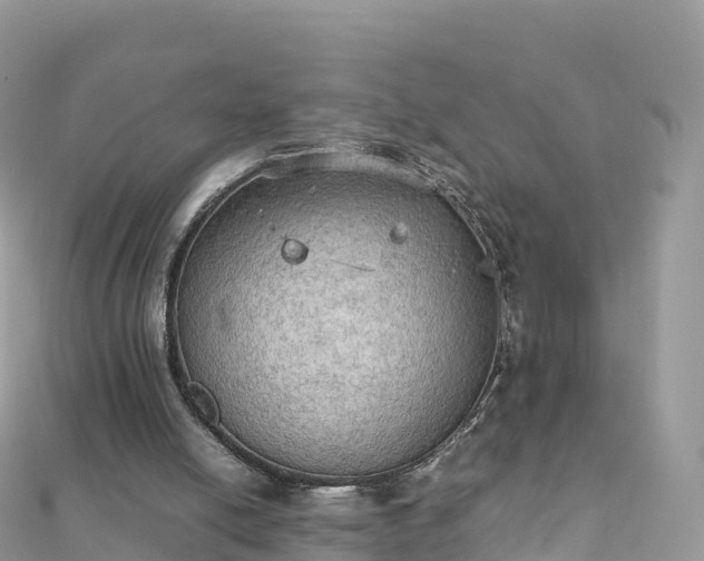 X0000111860054200907301140