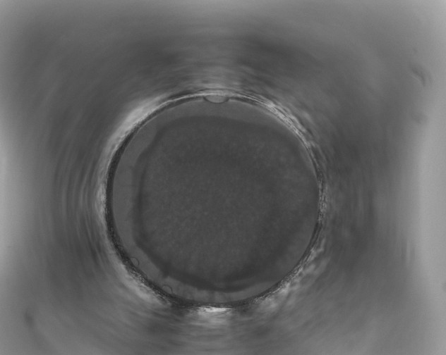 X0000111860055200907301140