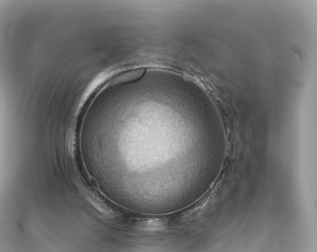 X0000111860056200907301140