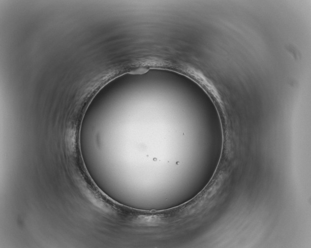 X0000111860057200907301140