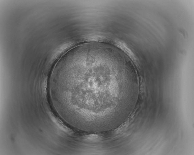 X0000111860058200907301140