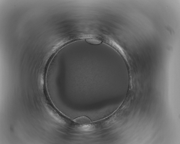 X0000111860059200907301140