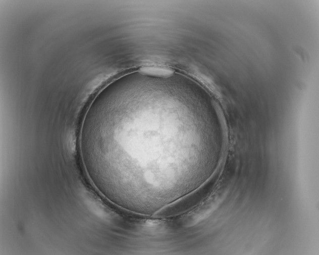 X0000111860060200907301140