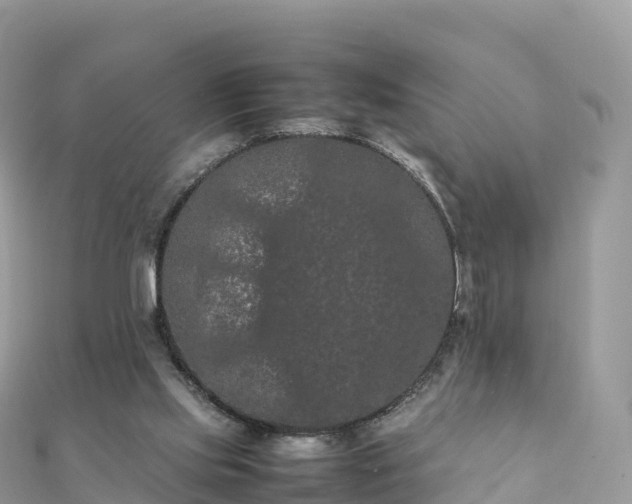 X0000111860061200907301140