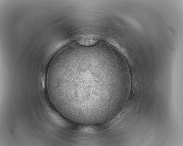 X0000111860062200907301140