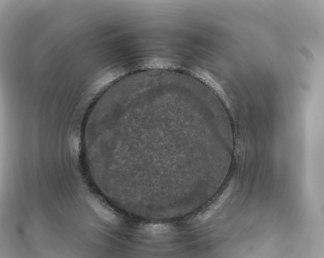 X0000111860063200907301140