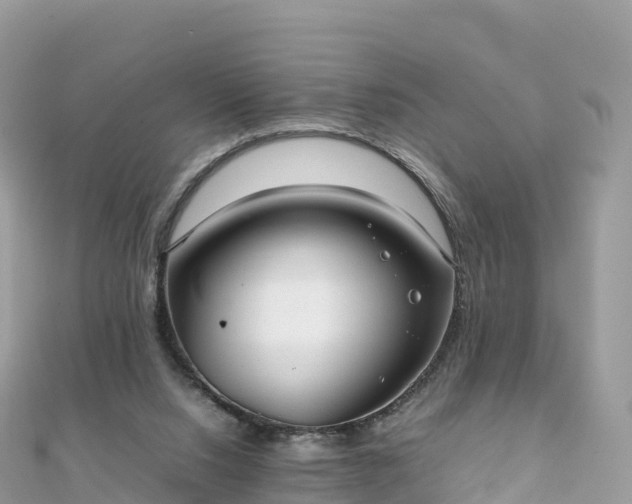 X0000111860064200907301140