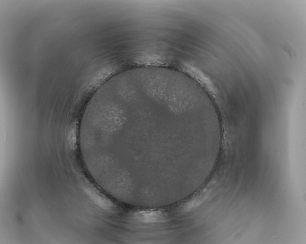 X0000111860065200907301140