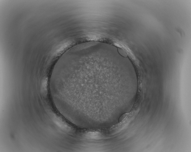 X0000111860066200907301140