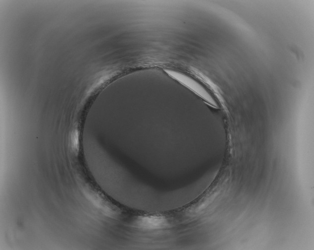 X0000111860067200907301140